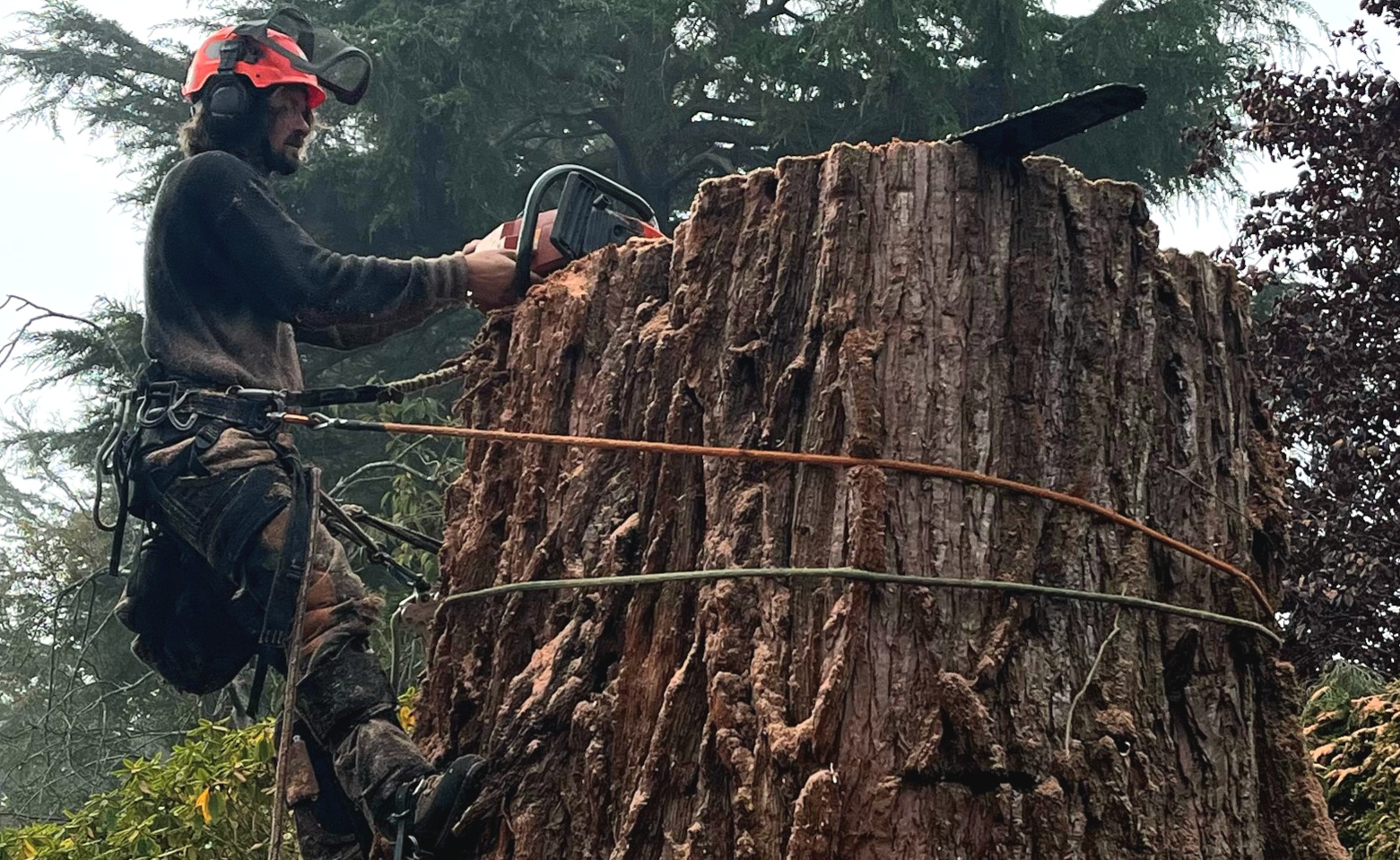 R.C. Tree Service