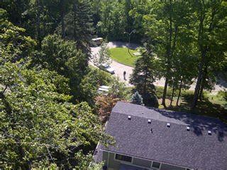 Martin’s Tree Service Inc.