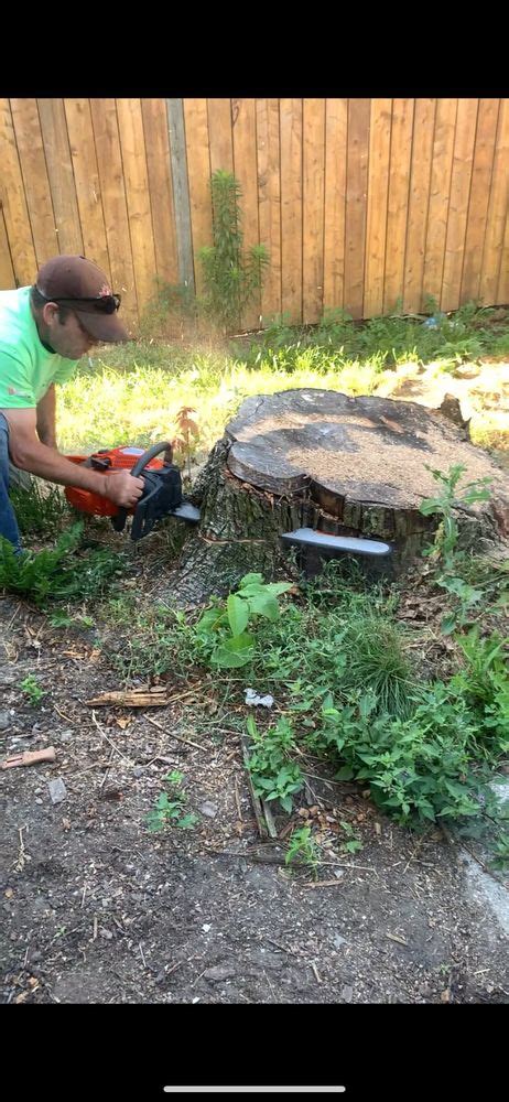 Forest Glade Tree Experts Ltd