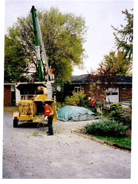 Landgraff Tree Service