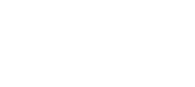 Flying Squirrel Tree Service